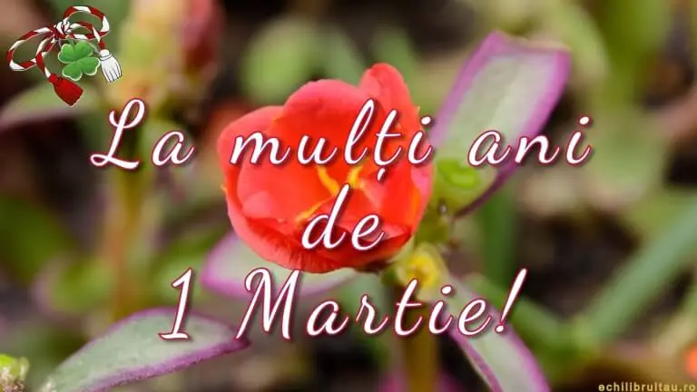 Felicitare de 1 Martie cu mărțișor